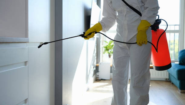 mold-damage